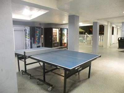 Ping Pong Area